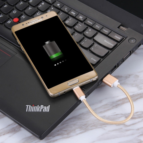 Style tissé USB-C / TYPE-C 3.1 Homme à USB 2.0 Câble de charge de la synchronisation de données masculine, Longueur du câble: 20cm (or) SH459J1106-06