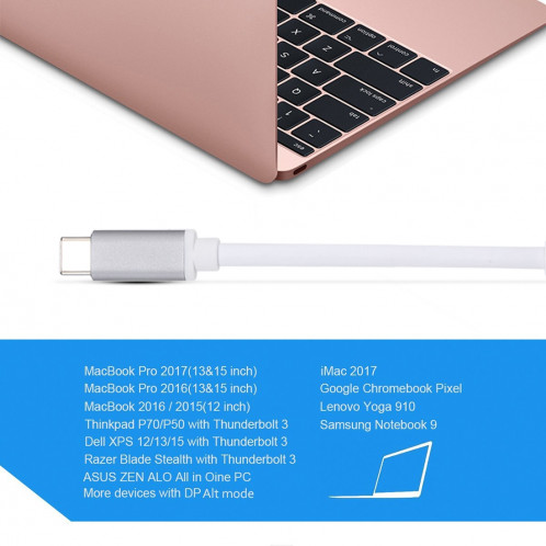 Adaptateur diviseur de concentrateur mâle 2 en 1 VGA et HDMI vers USB-C / Type-C (gris) SH734H705-010