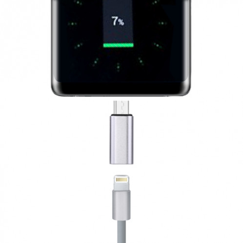 Adaptateur de coque métallique mâle 8 broches femelle vers USB-C / Type-C, Adaptateur de coque métallique mâle 8 broches vers USB-C / Type-C (argent) SH258S1175-07