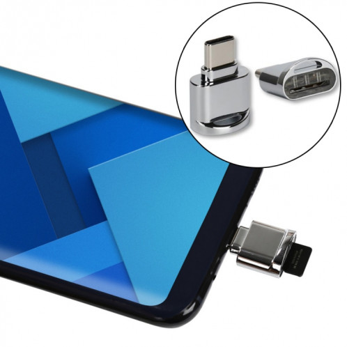 Carte TF vers adaptateur OTG en alliage d'aluminium mâle USB-C / Type-C avec porte-clés (gris) SH291H1594-08