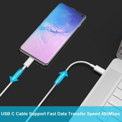Câble adaptateur 2m 2A USB-C / Type-C 3.1 mâle vers USB-C / Type-C 3.1 mâle, Câble adaptateur USB-C / Type-C 3.1 mâle vers USB-C / Type-C 3.1 mâle 2 m 2 A (Blanc) SH588W1468-08
