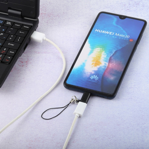 Mini adaptateur de convertisseur USB vers Type-C et USB-C portable avec OTG (noir) SH701B983-04