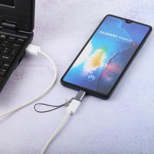 Mini adaptateur de convertisseur USB vers Type-C et USB-C portable avec OTG (gris) SH701H1242-04