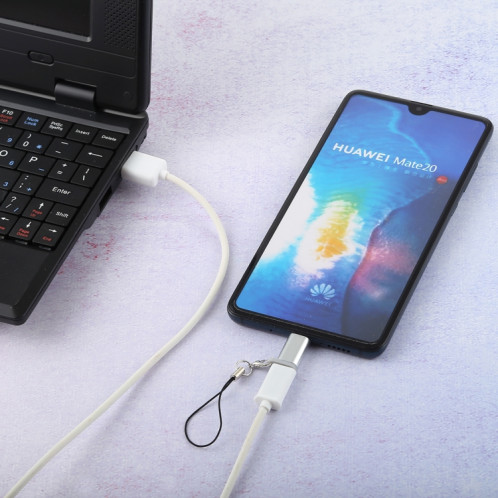 Mini adaptateur de convertisseur USB vers Type-C et USB-C portable avec OTG (blanc) SH701W259-04