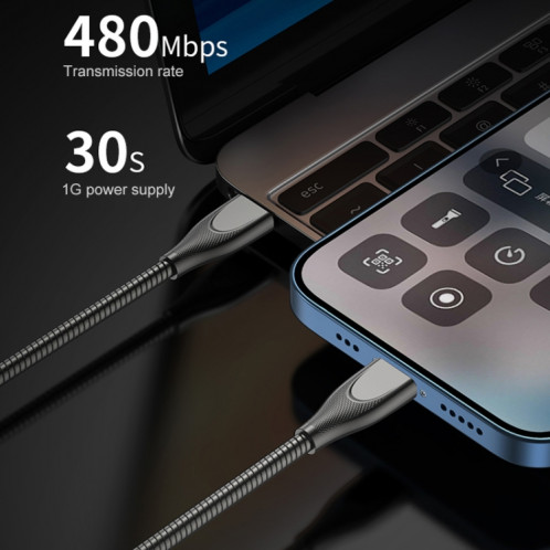 ADC-009 USB à USB-C / Type de carburation du tuyau d'alliage de zinc / Câble de charge de câble: 1m (argent) SH854S861-07