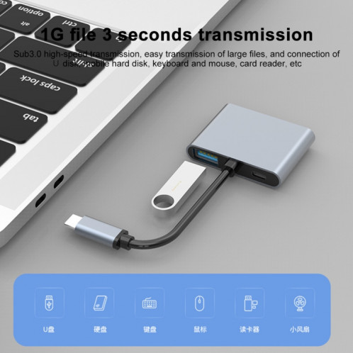 4 en 1 multifonction USB-C / TYPE-C à PD USB-C / TYPE-C + USB 3.0 + Dual HDMI Hub Agking Station (gris) SH976H1932-07