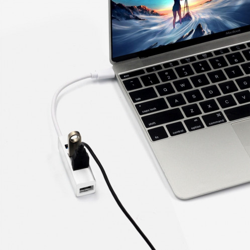 Adaptateur de concentrateur femelle portatif USB-C / Type-C mâle à 4 ports USB SH55491684-08