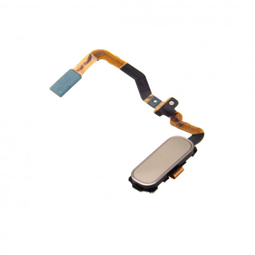 iPartsAcheter pour Samsung Galaxy S7 / G930 Fonction clé Accueil Flex câble (Gold) SI010J298-04