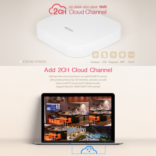 ESCAM PVR204 1080P 4CH + 2CH ONVIF NVR enregistreur vidéo numérique avec 2CH Cloud Channel pour système de caméra IP (blanc) SE023W1989-015