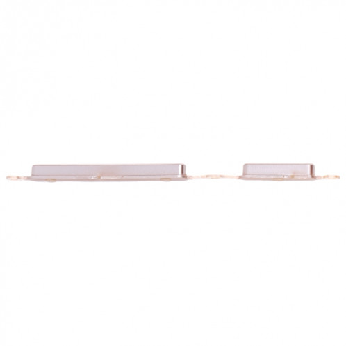 Bouton d'alimentation et bouton de commande de volume pour Asus Zenfone 4 max ZC520KL (argent) SH888S1796-04
