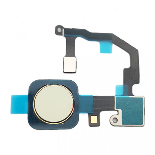 Câble de capteur d'empreinte digitale pour Google Pixel 5A 5G (Vert) SH787G881-02