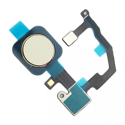 Câble de capteur d'empreinte digitale pour Google Pixel 5A 5G (Vert) SH787G881-02