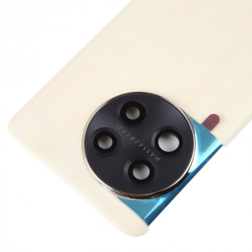 Pour OnePlus 11 PBH110 Couvercle arrière de batterie d'origine avec couvercle d'objectif d'appareil photo (or) SH77JL411-07