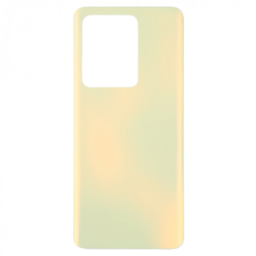 Pour vivo S15 Pro / V25 Pro Couvercle arrière de batterie en verre OEM (or) SH43JL1887-06
