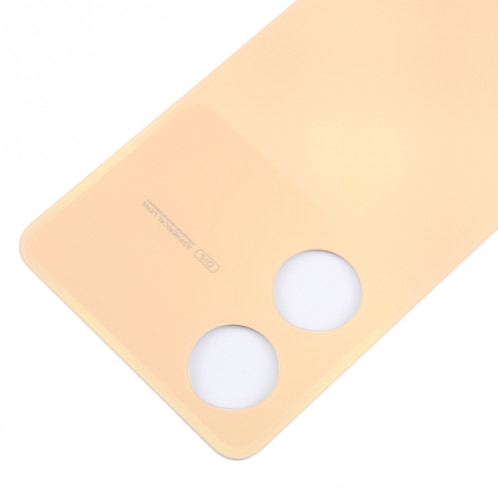 Pour le couvercle arrière de la batterie d'origine Vivo Y100 (orange) SH62EL753-07
