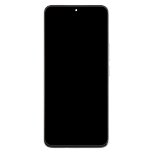 Écran LCD d'origine complet avec châssis pour Honor 300 (gris) SH371H679-07