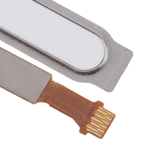 Câble flexible pour capteur d'empreintes digitales Honor Waterplay 8 pouces HDL-W09/AL09 (blanc) SH420W1990-04