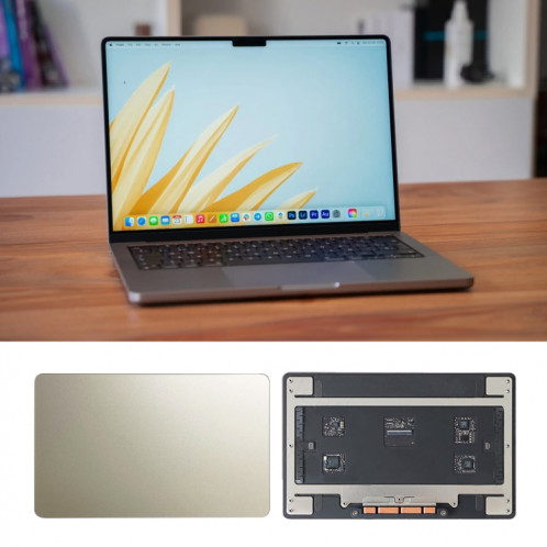 Pavé tactile pour MacBook Pro 16 M2 A2780 2023 EMC8103 (Gris) SH651H677-04