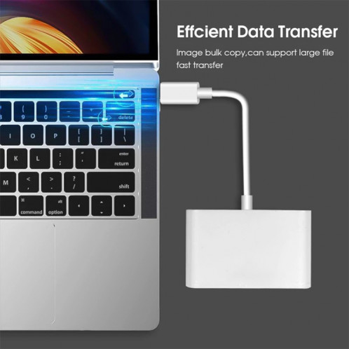 Lecteur de carte SD / Micro SD USB-C vers USB D-158 SH01841783-07