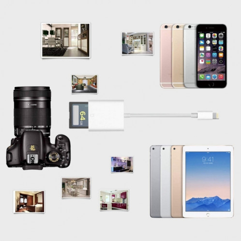 ZS-KL21810 Adaptateur de lecteur de carte caméra 8 broches vers carte SD, compatible avec le système IOS 14 et les versions précédentes SH0812514-014