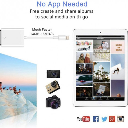 ZS-KL21810 Adaptateur de lecteur de carte caméra 8 broches vers carte SD, compatible avec le système IOS 14 et les versions précédentes SH0812514-014