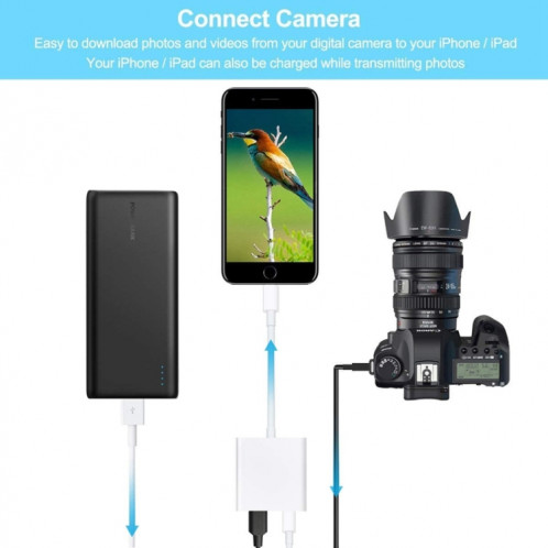 ZS-KL21806 2 IN 1 8 broches à USB 3.0 + Camera USB Read OTG Adaptateur, compatible avec le système iOS 13 et au-dessus SH0866946-013