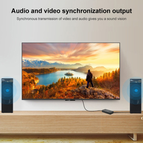 Convertisseur vidéo DC à HDMI 720p / 1080P SH68871444-08