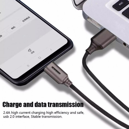 Interface USB-C / TYPE-C ZINC Alliage Maquisée Luminous Intelligent Automatic Date de charge Données de charge (or) SH701D138-07