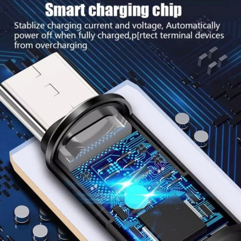 Interface USB-C / TYPE-C ZINC Alliage Maquisée Luminous Intelligent Automatic Date de charge Données de charge (or) SH701D138-07