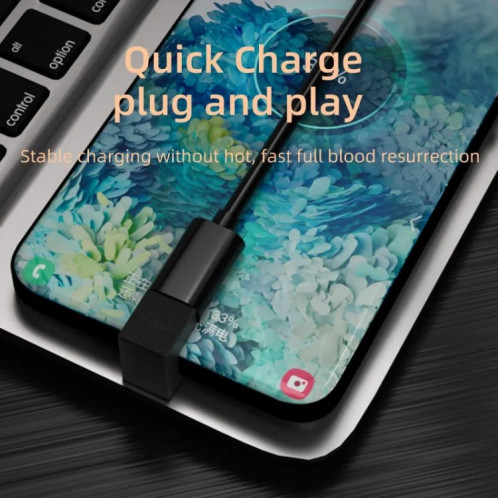 Adaptateur USB 3.1 Type C 10Gbps en forme de U Charge de données étendue pour tablette de téléphone mobile Android SH12101526-04