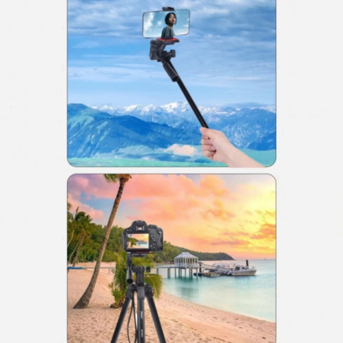 JMARY KP2209 Support de trépied pliant pour caméra de téléphone portable à tige d'extension horizontale SJ3082961-07