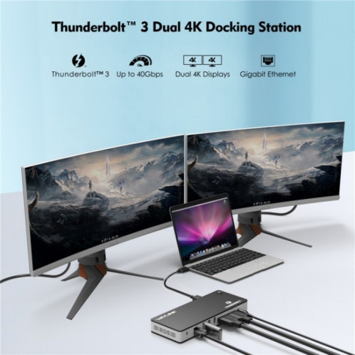 WAVLINK UTD21H 11 en 1 4K double DisplayPort Hub convertisseur Thunderbolt 3 Station d'accueil, prise: prise ue SW750355-07