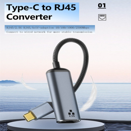 Adaptateur Ethernet Type-C vers RJ45 2500Mbps SH472112-09