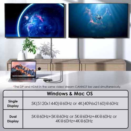 WAVLINK WL-UG69DH2 Répartiteur adaptateur double moniteur USB + Type-C vers double 4K HD DisplayPort (argent) SW401B638-09