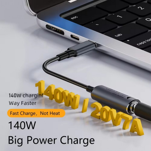 Adaptateur de charge d'ordinateur 140 W DC 5 V/9 V/20 V femelle vers USB-C/Type-C mâle (5525) SH601D231-06