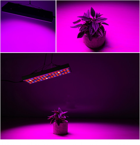 25W 75LEDs Plein Spectrum Plant Lighting allumant Fitolampy Pour Les Plantes Fleurs La Culture Des Semis Culture Des Lampes De Croissance LED Cultivent La Lumière AC85-265V US SH2201946-010