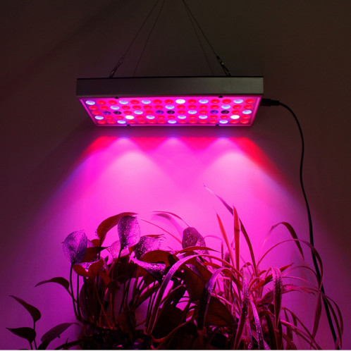 25W 75LEDs Plein Spectrum Plant Lighting allumant Fitolampy Pour Les Plantes Fleurs La Culture Des Semis Culture Des Lampes De Croissance LED Cultivent La Lumière AC85-265V US SH2201946-010