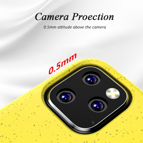 Matériel de paille antichoc Starry Series + Étui de protection en TPU pour iPhone 11 Pro Max (Noir) SH101A185-06