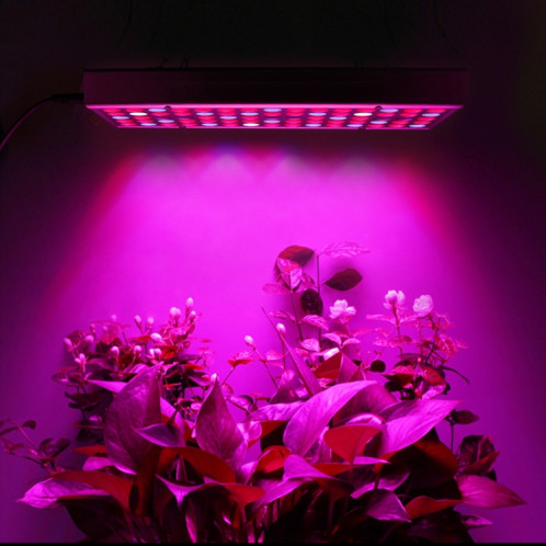 45W 144LEDs éclairage de plante à spectre complet Fitolampy pour plantes fleurs culture de semis lampes de croissance LED élèvent la lumière AC85-265V US SH28011567-010