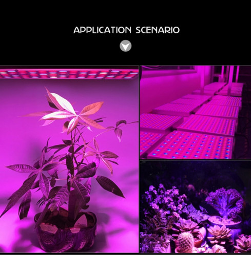 45W 144LEDs éclairage de plante à spectre complet Fitolampy pour plantes fleurs culture de semis lampes de croissance LED élèvent la lumière AC85-265V AU SH28031911-010