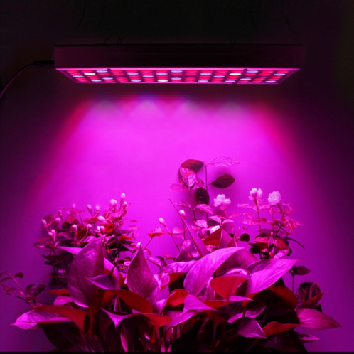 45W 144LEDs éclairage de plante à spectre complet Fitolampy pour plantes fleurs culture de semis lampes de croissance LED élèvent la lumière AC85-265V UK SH2804407-010