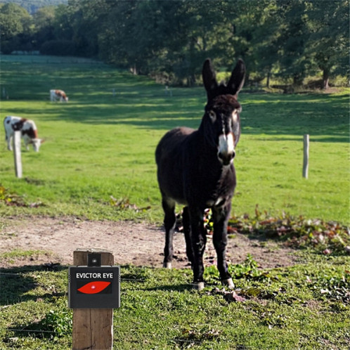 2 Pcs / Pack Répulsif Solaire Ranch Farm Wild Hawkeye Animal Repeller SH3278562-07