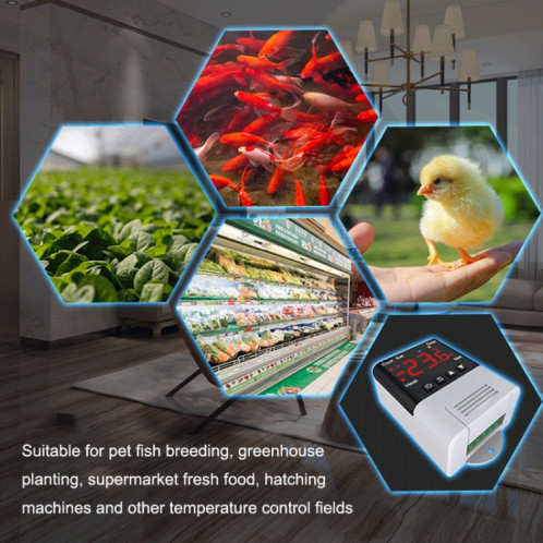 DTC-1201 Capteur NTC WiFi Intelligent Aquarium Fish Tank Hatch Central Air Conditioning Temperature Controller SH32011767-010