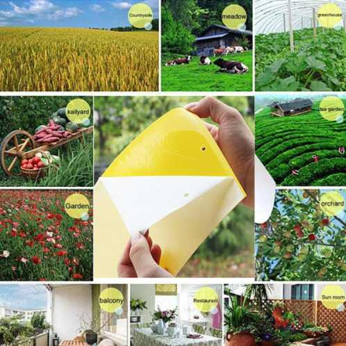 10 paquets Double face Stick Insect Board Conseil jaune Melon Fruit Fly Trap Board SH25001110-06