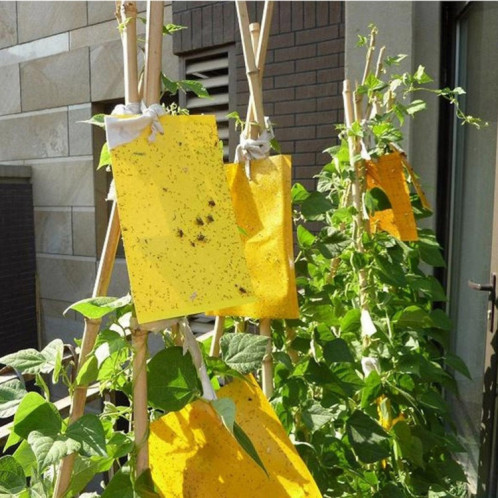 10 paquets Double face Stick Insect Board Conseil jaune Melon Fruit Fly Trap Board SH25001110-06