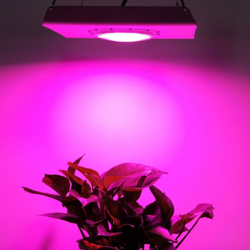 50W lumière de croissance des plantes ultra-mince haute luminosité lumière de serre intérieure COB à spectre complet avec prise, spécification: SH30031521-06