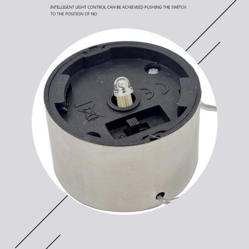 Lampe de jardin décorative à boule creuse solaire 2 PCS (lumière blanche) SH701A653-08