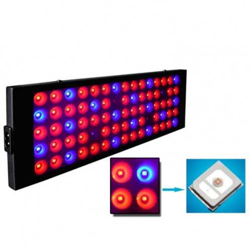 Lumière de croissance végétale ultra-mince 0.3M 40W, spécifications de prise: SH9803582-08