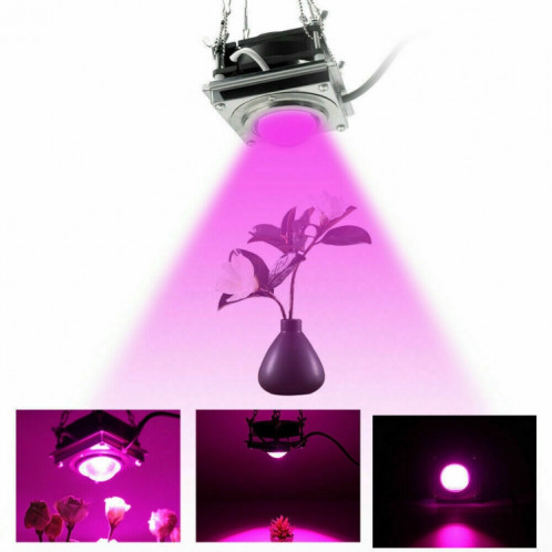 Lumière de croissance des plantes COB LED Plantation de légumes Lumière succulente, lumière: spectre complet (prise EU 220V) SH901B1498-011