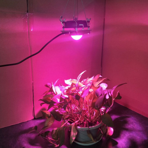 Lumière de croissance des plantes COB LED Plantation de légumes Lumière succulente, lumière: spectre complet ( 220V) SH901B1498-011